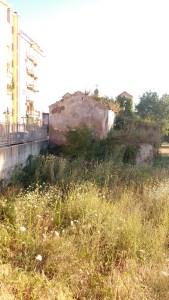 IMG_20160718_192804187